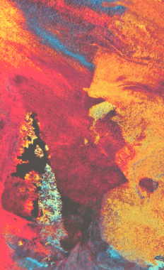 Madame Bovary / Мадам Бовари