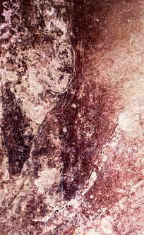 Eveline/Эвелин