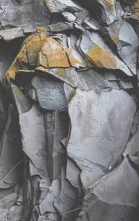 Юный Король/El joven Rey