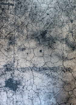 Art and the Bronco / Искусство и ковбойский конь