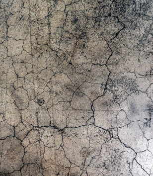 ROSES, RUSES AND ROMANCE / Розы, резеда и романтика